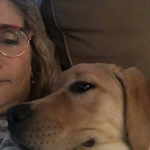 Meet your Posher, Liane